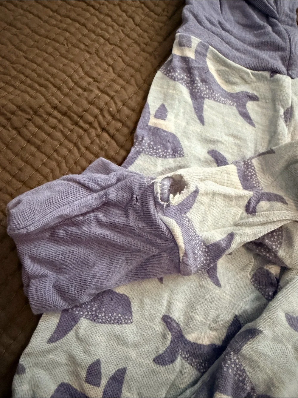 Little Sleepies Whale Shark Zip Pajama zippies